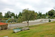 Property 8815 photo 19