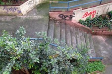 Property 8829 photo 5