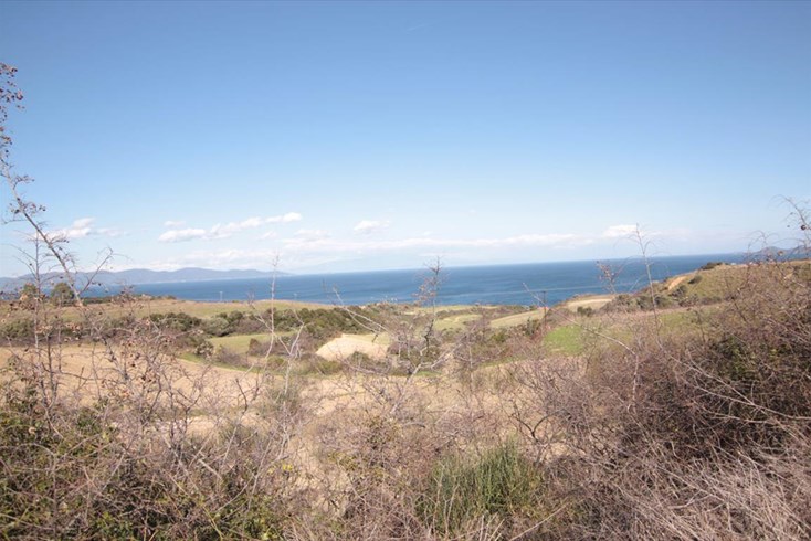 Realty photo 2