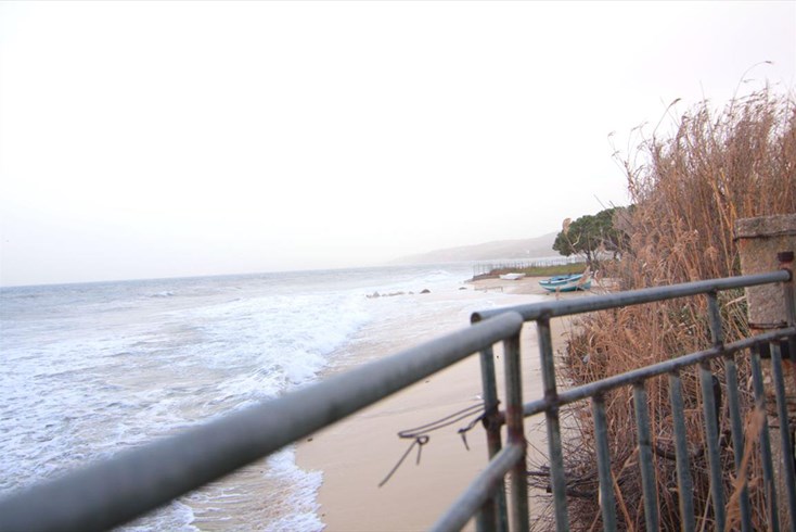 Realty photo 1