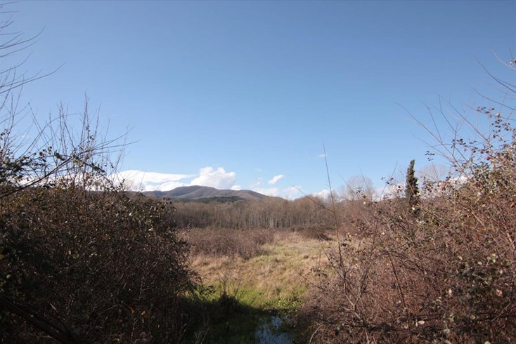 Realty photo 2