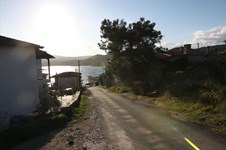 Property 8878 photo 5