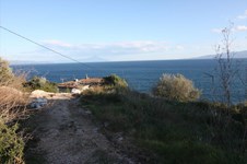 Property 8878 photo 2