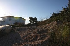 Property 8878 photo 4