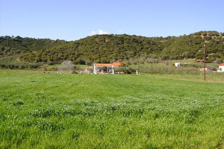 Realty photo 2
