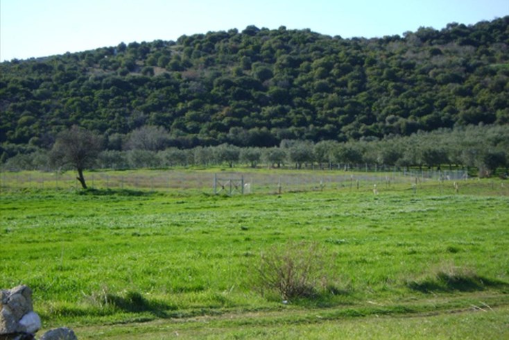 Realty photo 3