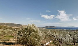 Land 2120 m² in Eastern Peloponnese - Ermionida