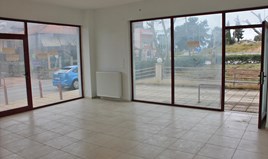 Business 250 m² in Chalkidiki