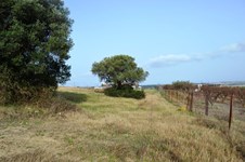 Property 8958 photo 2