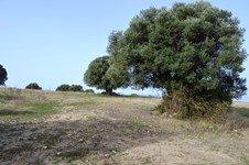Property 8958 photo 4