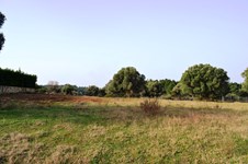 Property 8958 photo 5