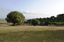 Property 8958 photo 6