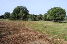 Property 8958 photo 7
