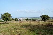 Property 8958 photo 1