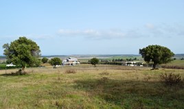 Land 5000 m² auf Kassandra (Chalkidiki)