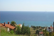 Property 896 photo 9