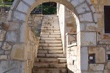 Property 897 photo 2