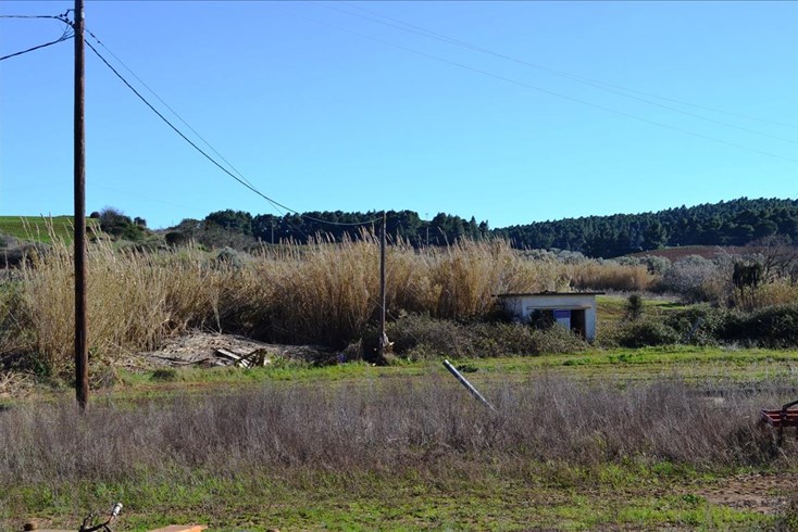 Realty photo 2