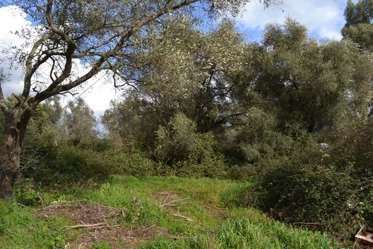 Realty photo 2
