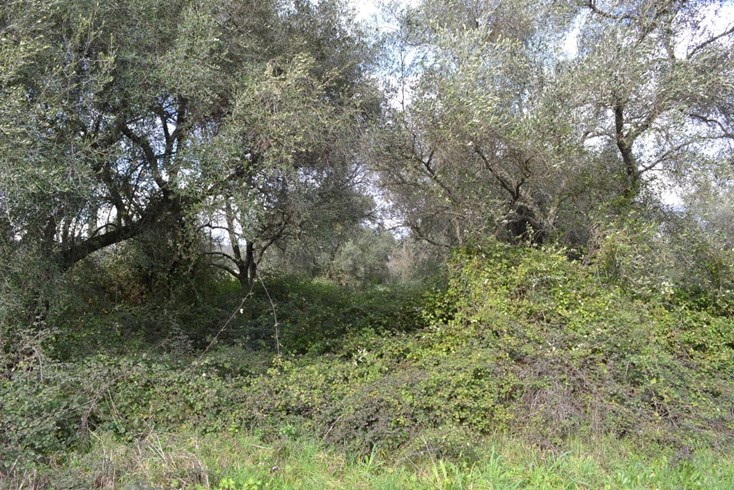 Realty photo 3