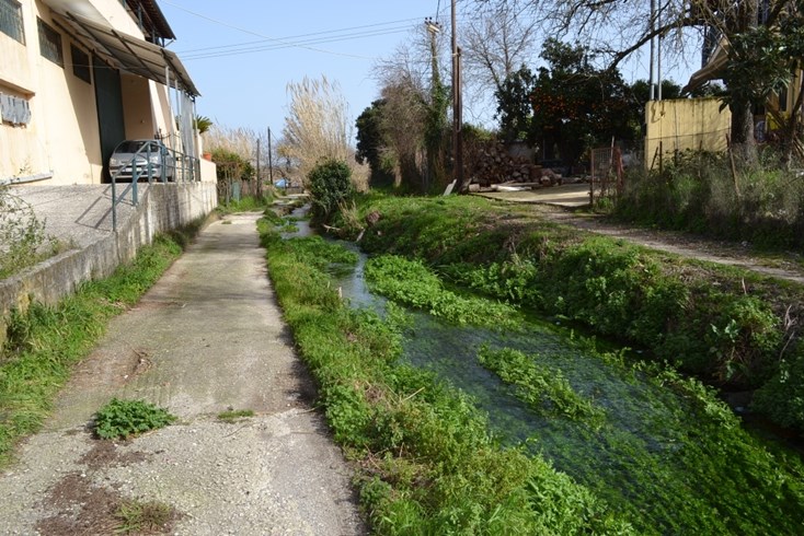 Realty photo 1