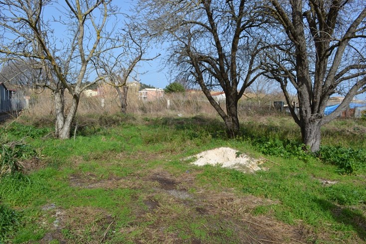 Realty photo 3