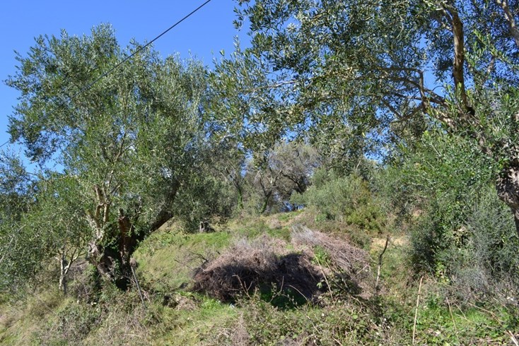 Realty photo 3