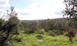 Парцел 5200 m² на Крит