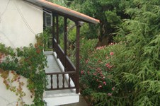 Property 913 photo 11