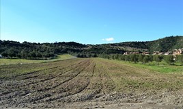 Land 15000 m² in Kassandra, Chalkidiki