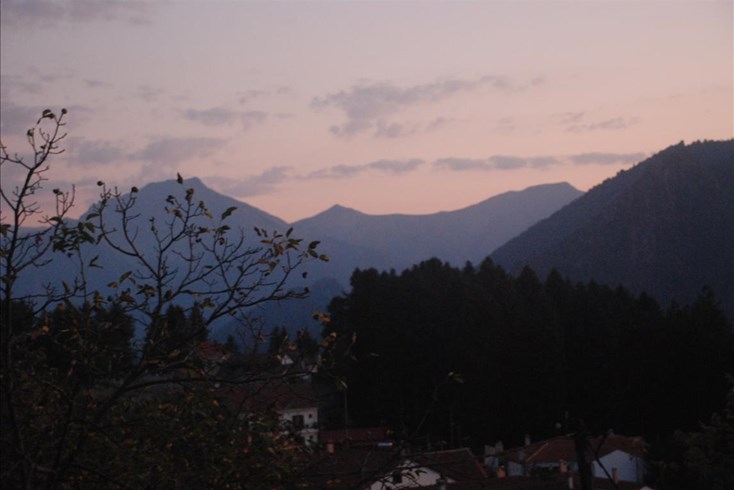 Realty photo 2