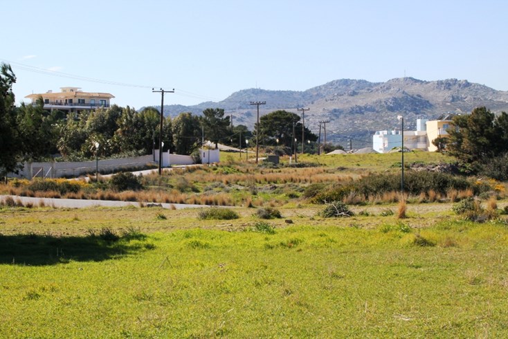Realty photo 3