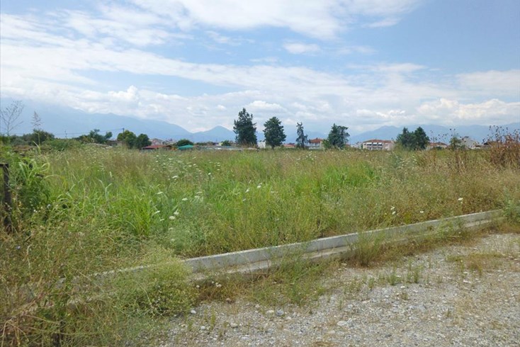 Realty photo 1