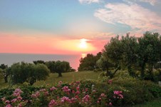 Property 9275 photo 6