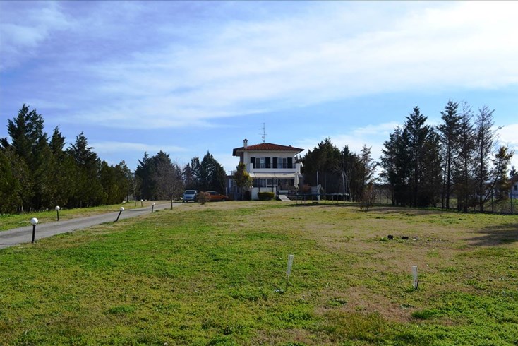Realty photo 1