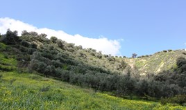 Земельна ділянка 7494 m² на Криті