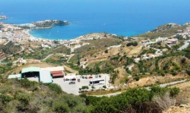 Land 7139 m² auf Kreta