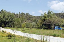 Property 933 photo 6