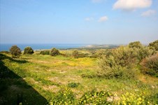 Property 9360 photo 9