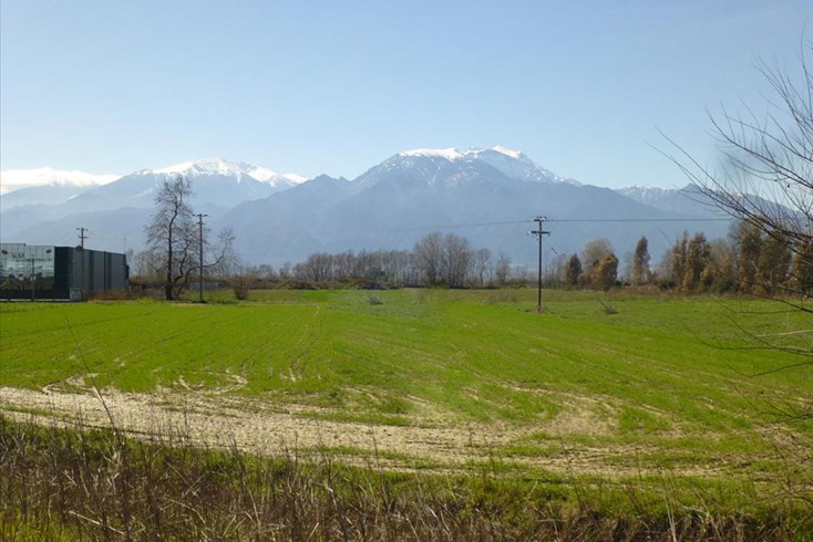Realty photo 2