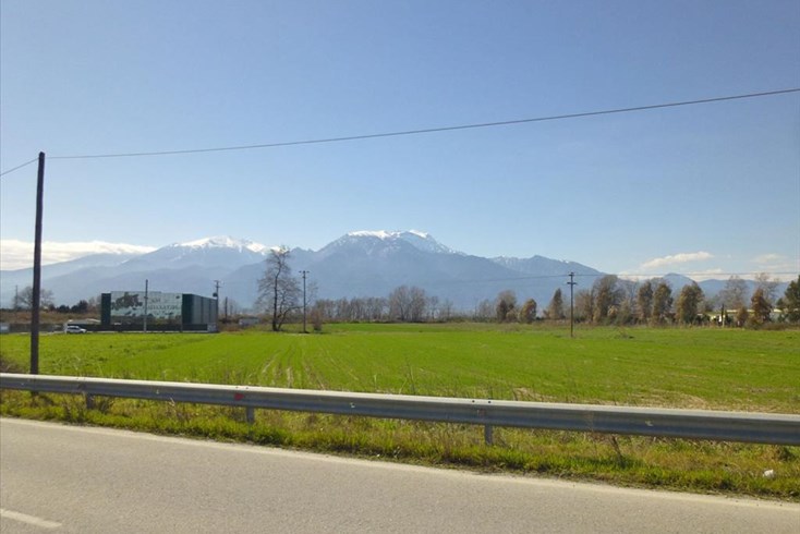 Realty photo 1