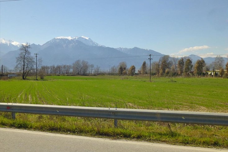 Realty photo 3