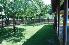 Property 937 photo 5