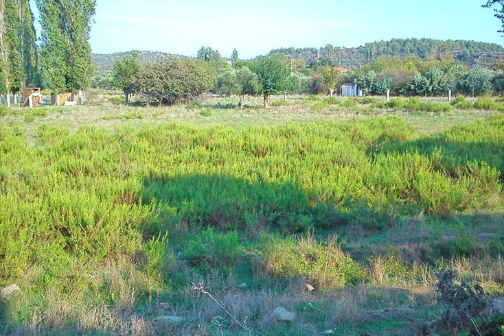 Realty photo 1
