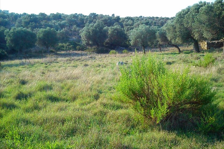 Realty photo 3