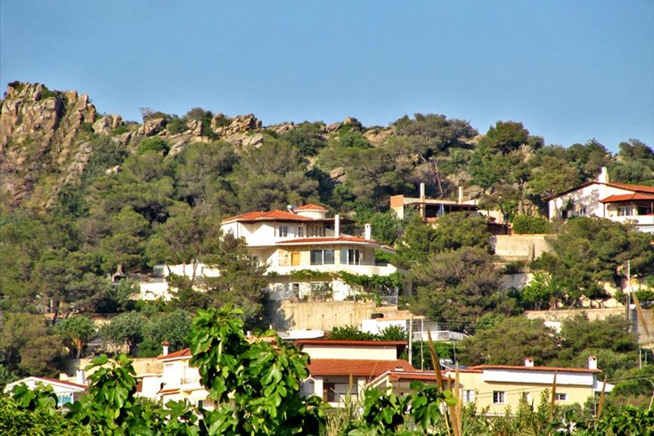 Realty photo 2
