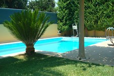 Property 938 photo 12