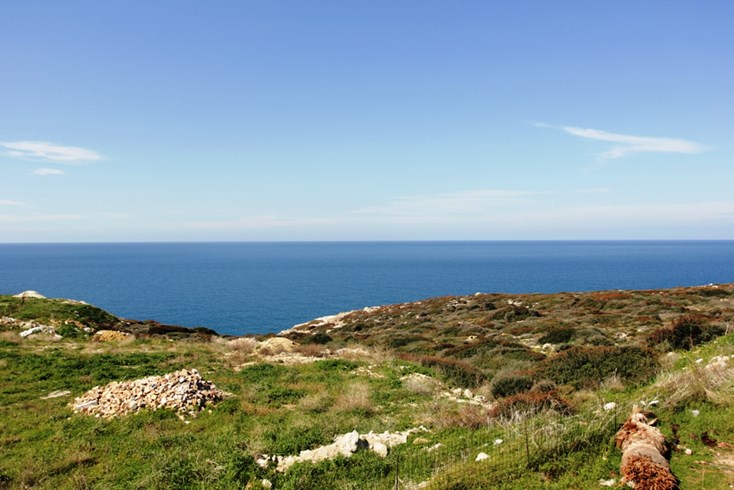 Realty photo 2