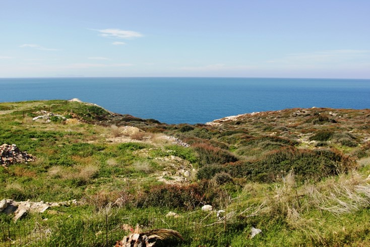 Realty photo 3