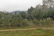 Property 9458 photo 7